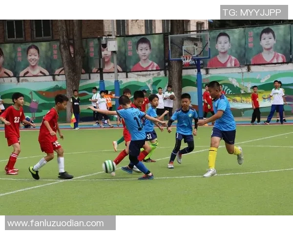 深圳足球队的拼搏历程与荣耀时刻全景纪实